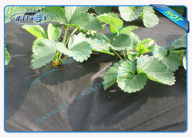 Biologisch abbaubare Hochleistungs-gesponnene Abdeckung Agricultrual nicht in der schwarzen Farbe 1.5OZ 40gsm zu 100gsm